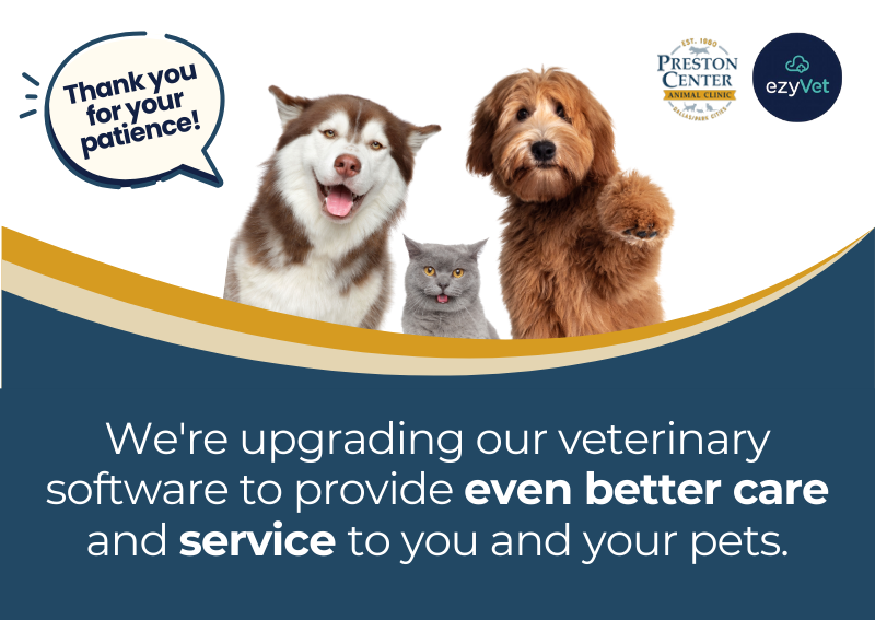 Carousel Slide 6: We're upgrading our veterinary software to provide even better care and service to you and your pets! While this is fur-tastic news, please note that we appreciate your patience and hope you can offer us grace, as you may experience slightly longer wait times for non-urgent/routine appointments or receive new, or duplicate reminders as we toggle from one communication system to the next. As always, if you have any questions or concerns, or need to schedule an appointment our team is ready to assist you. Please give us a call at (214) 368-3592.