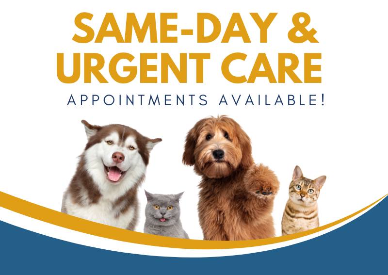 Carousel Slide 2: Same day & Urgent Care appointments