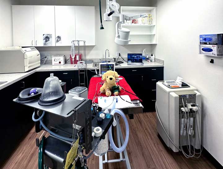 Preventive Dental Care